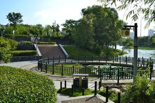 旅友逛滁州 增長知識,收獲快樂