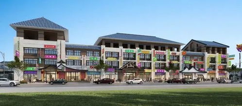 推動亳州商文旅藥市融合發展,打造世界藥都中醫藥產業新名片