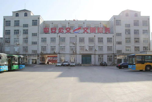 龍口市公交集團啟用新logo