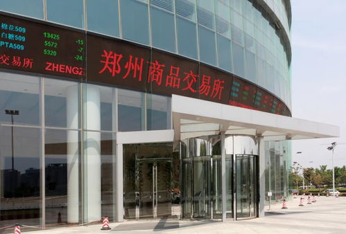 河南政府網(wǎng) 11項(xiàng)重點(diǎn)任務(wù) 河南發(fā)文支持鄭州商品交易所優(yōu)勢再造