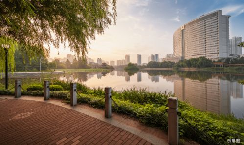 新市府進入主城時代 城市別墅大勢所向