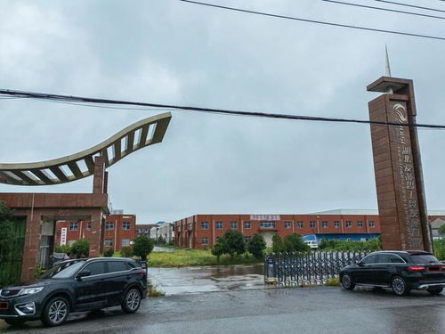 孝感市漢川一個大型工廠拍賣,被一老板3448萬買下