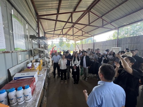 2023年綠色食品檢查員 標志監督管理員暨名特優新農產品跟蹤管理員培訓班在洛陽市舉辦鳳凰網河南