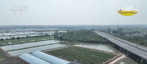 各地特色農產品產銷兩旺 映出金秋好 豐 光