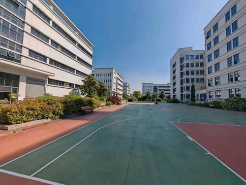 蕪湖市一個大型電子廠第二次拍賣,被杭州一家公司1.5億買下