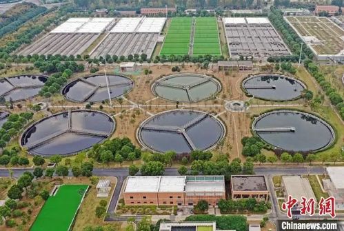 污水廠實現了 豪飲 千噸 啤酒 珠聯璧合,每年節約成本上百萬