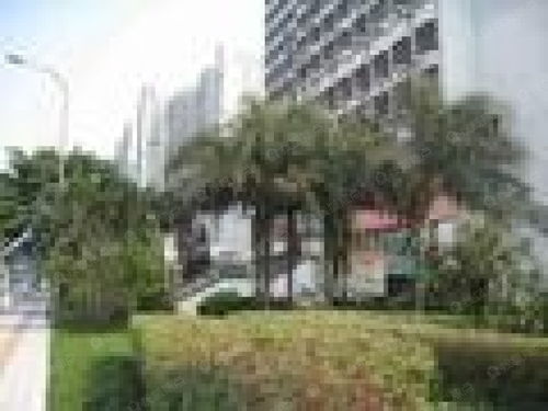 水產大廈圖片 樣板間 裝修效果圖