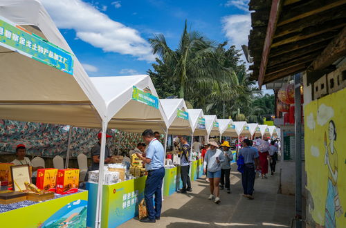 多彩活動(dòng)慶豐收