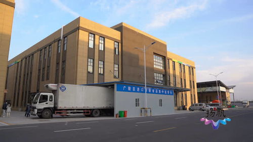 首批食品入倉(cāng) 揚(yáng)州市進(jìn)口冷鏈?zhǔn)称芳斜O(jiān)管倉(cāng)今天啟用