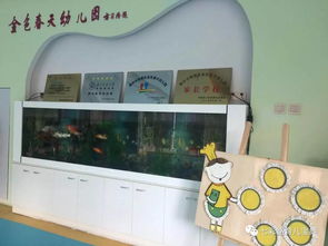 滁州市南譙區金色春天幼兒園開展第五階段幼兒來園體驗活動