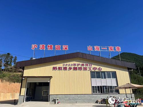 發(fā)揮資源優(yōu)勢 滬滇協(xié)作助 臨品 出山