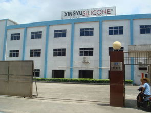 東莞市農(nóng)村 社區(qū) 集體資產(chǎn)管理網(wǎng) 橋頭鎮(zhèn)大洲社區(qū)第二工業(yè)區(qū)25號 興域廠